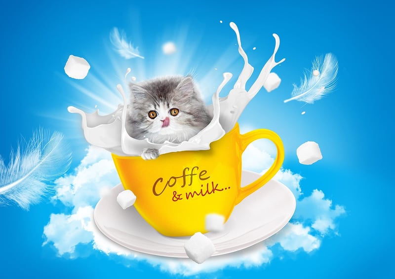Tea Cups